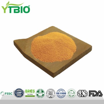 Wholesale CAS 83-88-5 Vitamin B2/Riboflavin Powder