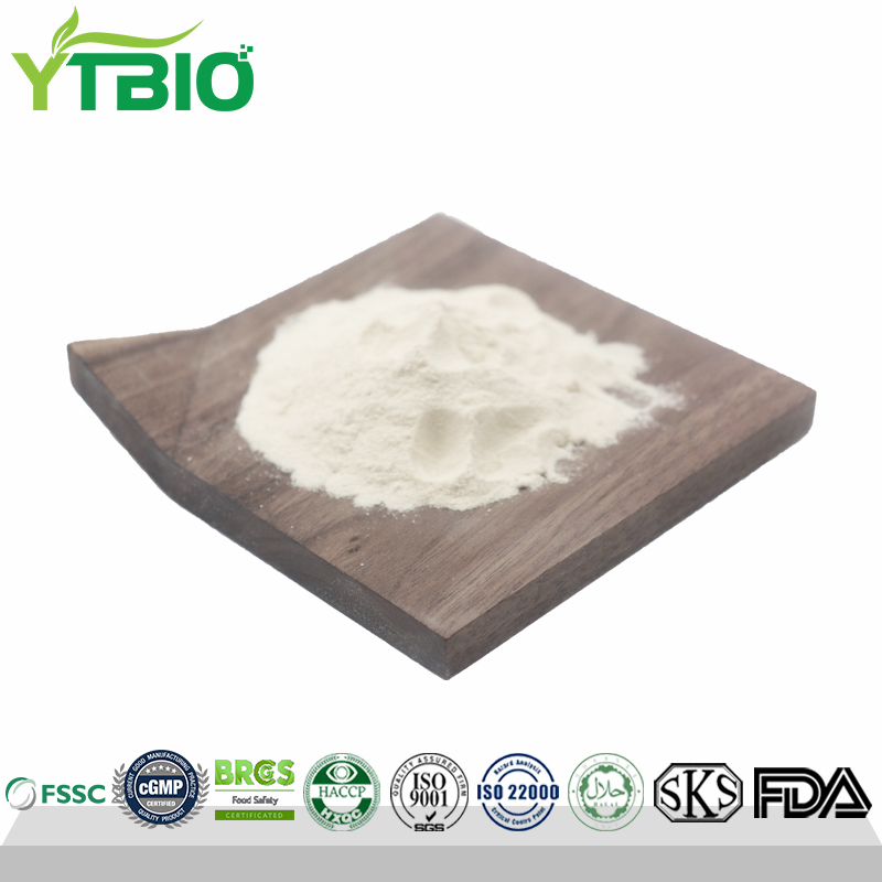 WPI Whey Protein Isolate Powder