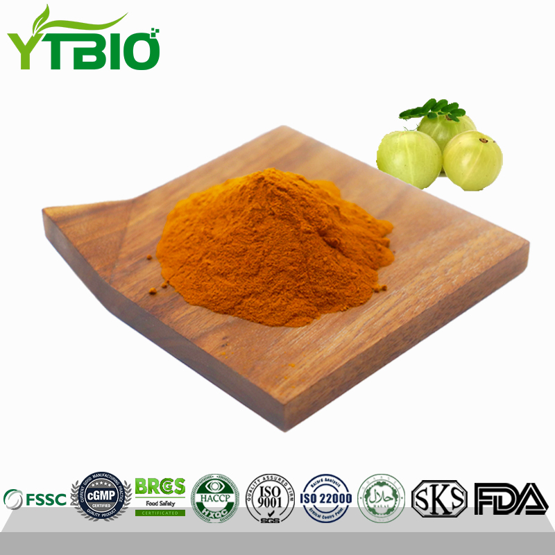 Amla Extract Powder