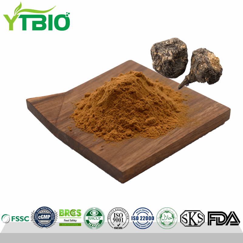 4:1 Black Maca Extract Powder