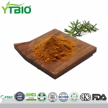 Polvo de ácido carnósico natural al 10% al por mayor
