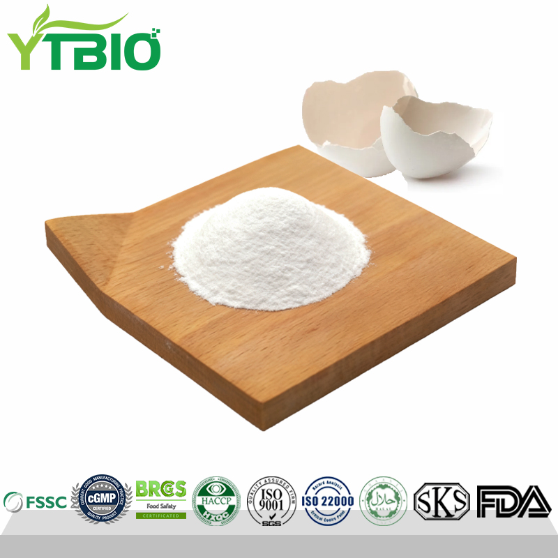 Egg Shell Membrane Extract Powder