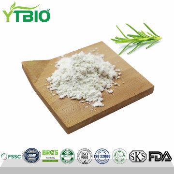 Rosemary Extract Ursolic Acid Powder