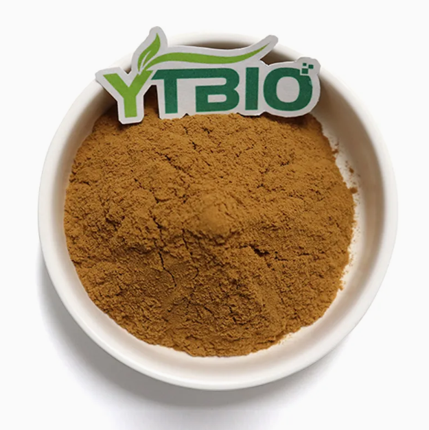 Hoe verbeteren proanthocyanidinen uit druivenpitextract de sportprestaties en het herstelvermogen?