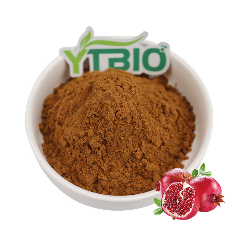 Why Is Punicalagin Called the “King of Antioxidants”?