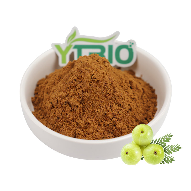 Natuurlijke leverbeschermer: hoe Phyllanthus emblica-extract alcoholische leverschade effectief verlicht.