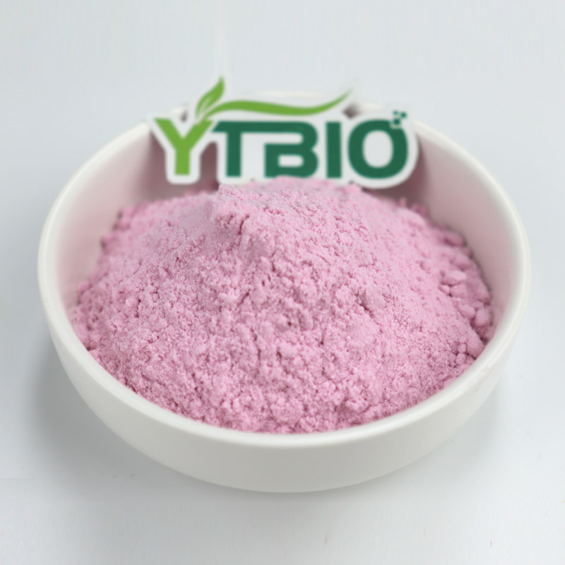 Keuze van sportvoeding: runderlactoferrine versus colostrumpoeder – wat is beter voor atleten?