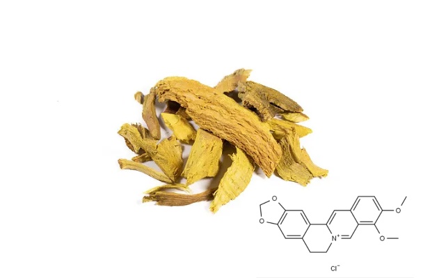 berberine-hydrochloride-1