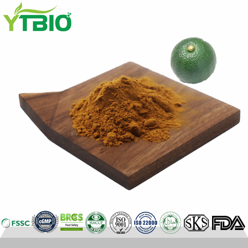 Bitter Orange Extract Powder