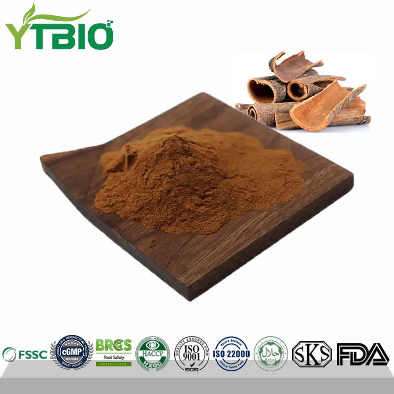 Kaneelschors extract 30% kaneelpolyfenol