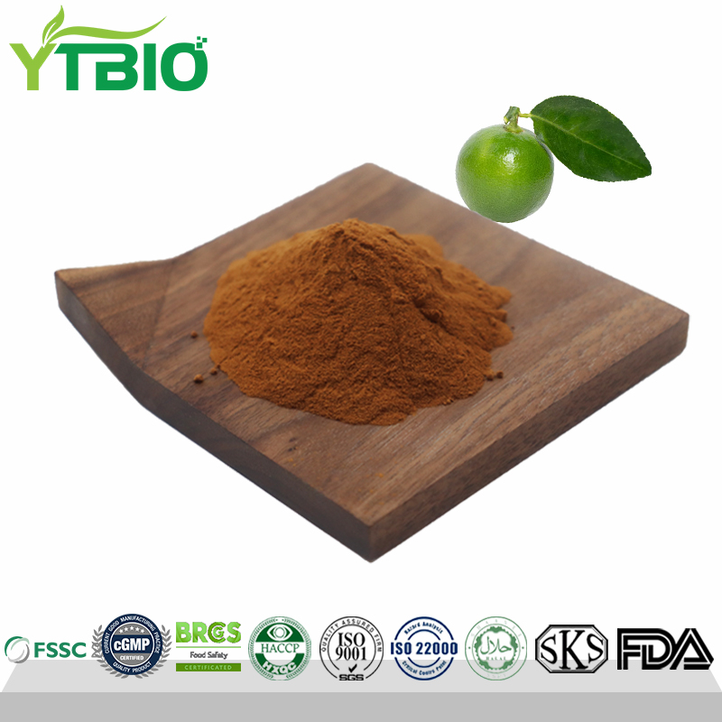Citrus Aurantium Extract Powder