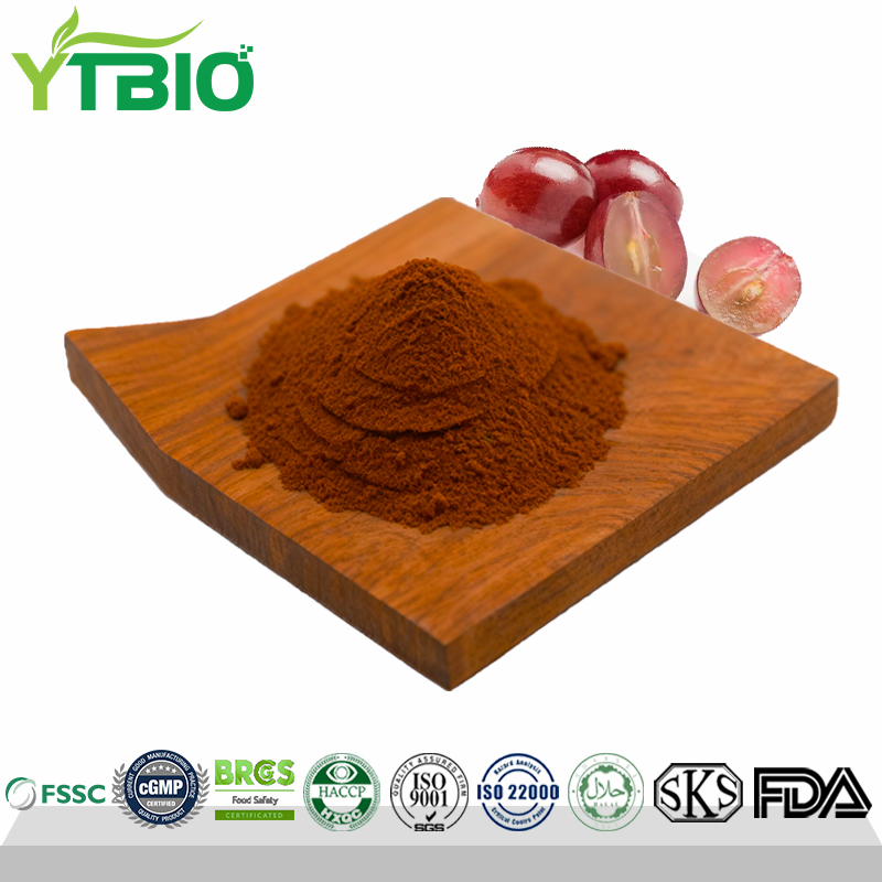Grape Seed Extract Proanthocyanidins