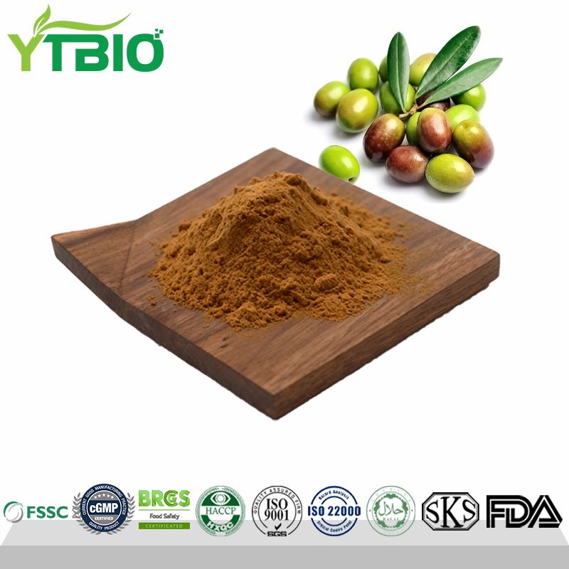 Olive Fruit Extract Powder