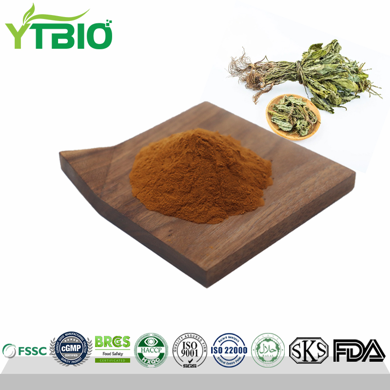 Plantain/Plantago Asiatica Extract Powder