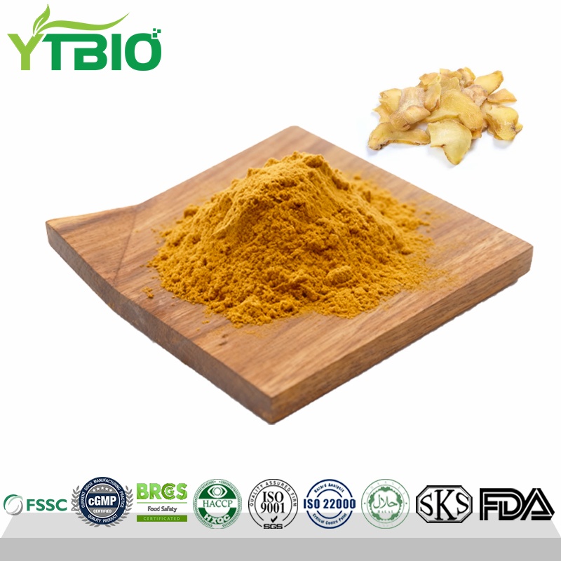 Polygonum Flavum Extract Powder