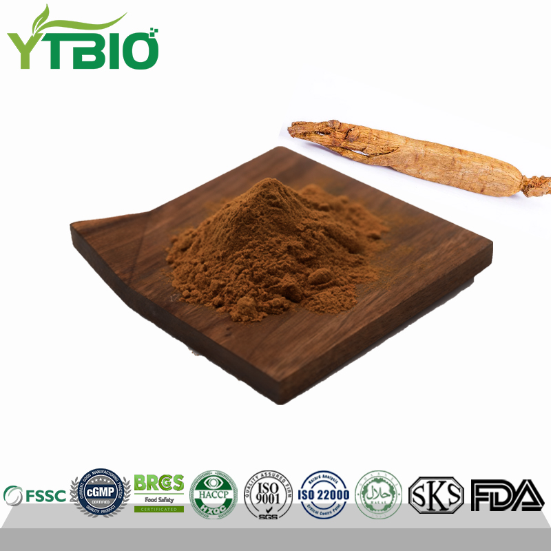 Red Ginseng Extract Powder