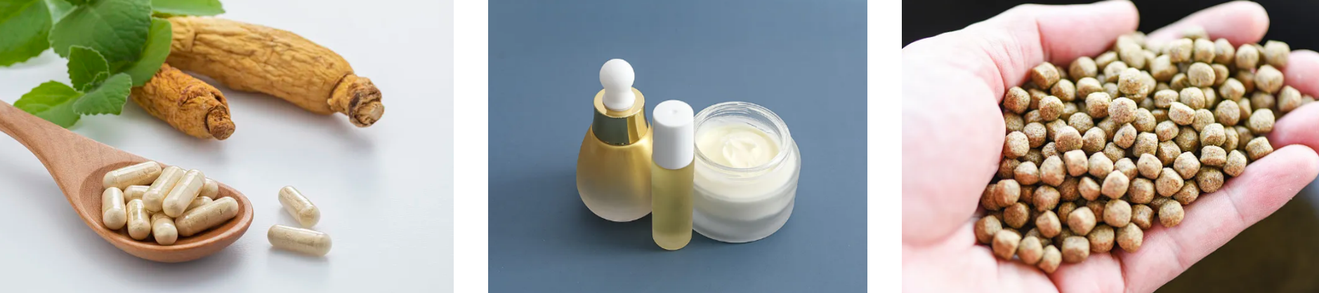 rode-ginseng-extract