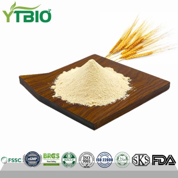 Suministro de gluten de trigo en polvo