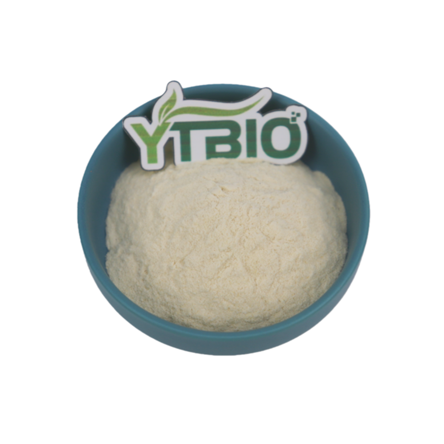 Analysis of the Anti-Aging Mechanism of Urolithin A: Why is it considered a next-generation anti-aging nutrient?