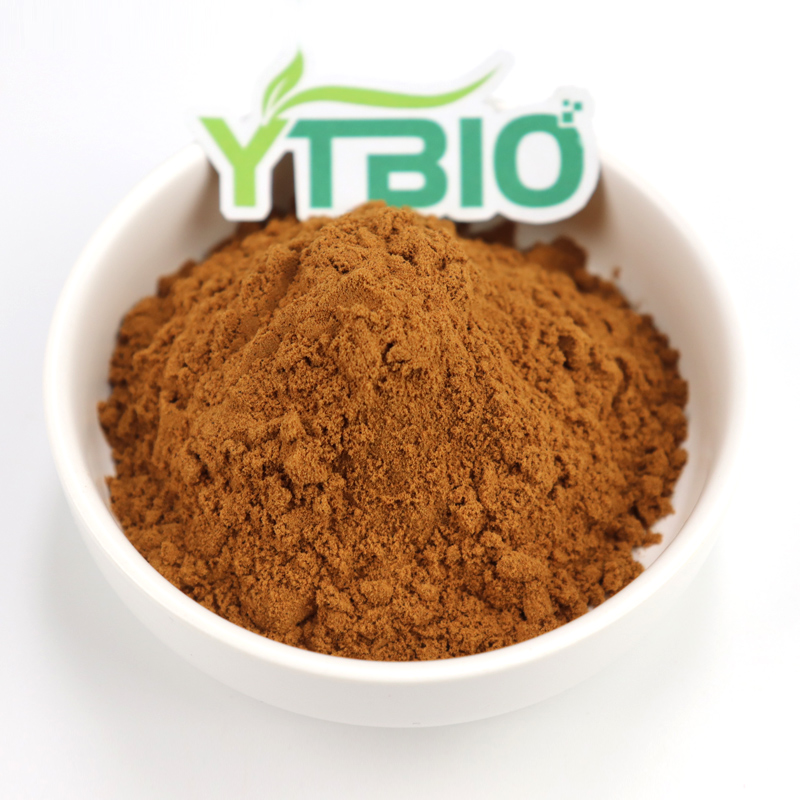 The Value of Salidroside in Sports Nutrition: Enhancing Endurance Performance and Recovery