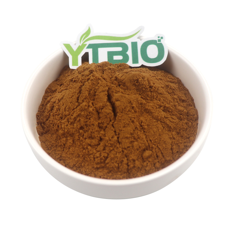 What Role Does Fulvic Acid Play In Immune Health?