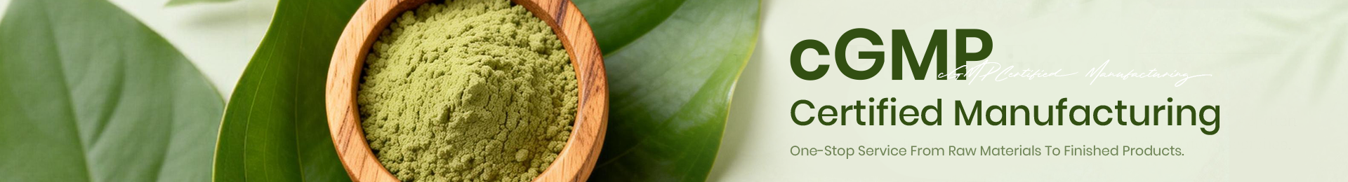 Emblica Officinalis Extract Powder