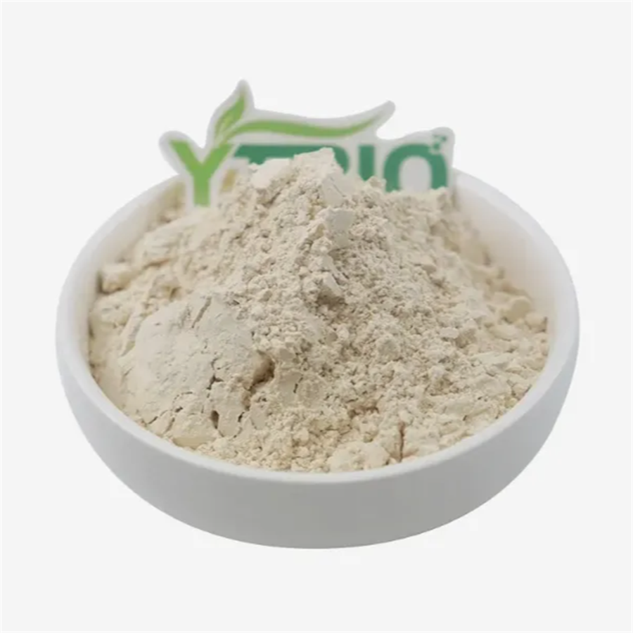 Almond Protein: Why Is It Becoming a Preferred Choice In Food Formulation?