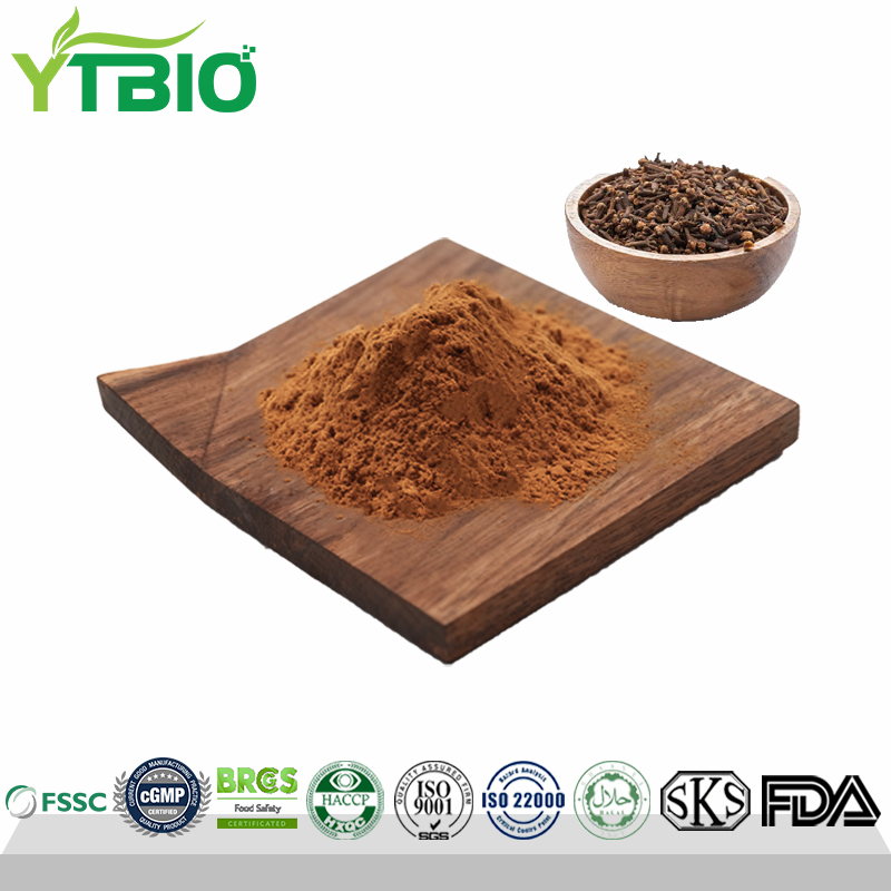 Manufacturer Supply Clove Extract Powder 10:1