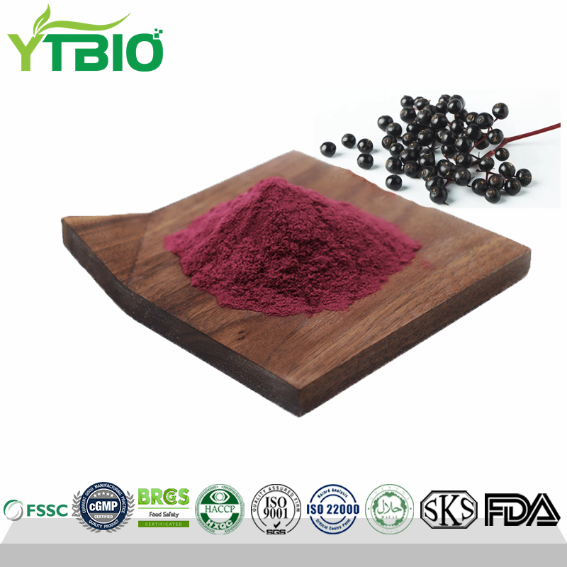 Elderberry Extract Powder 25% Anthocyanins/17%Anthocyanosides