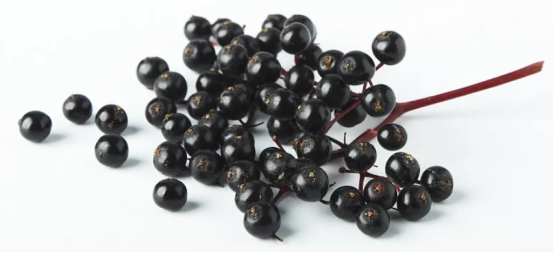 Elderberry Powder Image