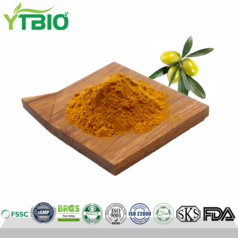 Wholesale Natural Oleuropein 40% Olive Leaf Extract