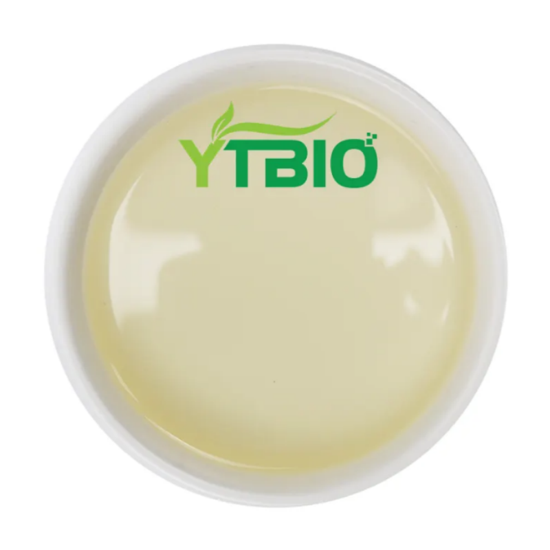 Rosemary Essential Oil Revealed: A Versatile Essence for Cognition, Scalp, and Skin Care