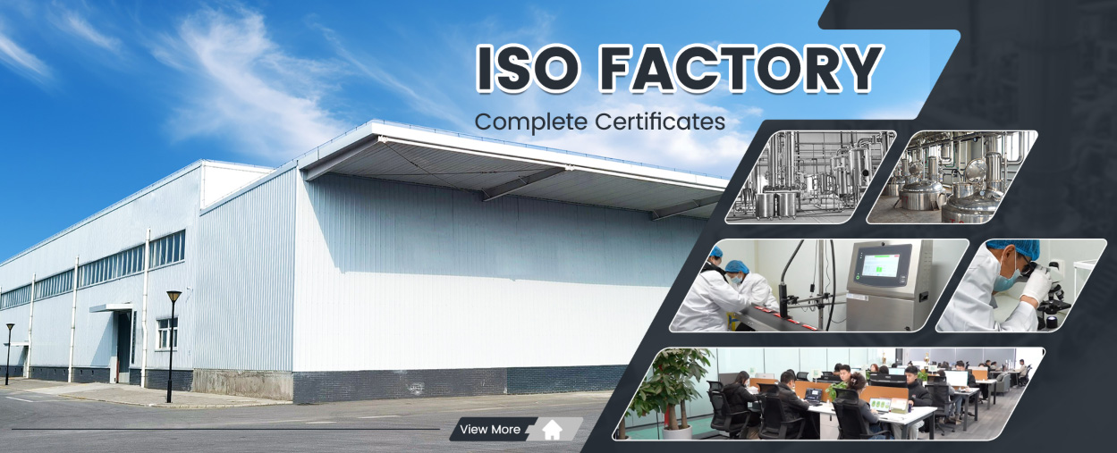 What Sets a Professional China Magnesium Bisglycinate Supplier Apart in a Competitive Market?