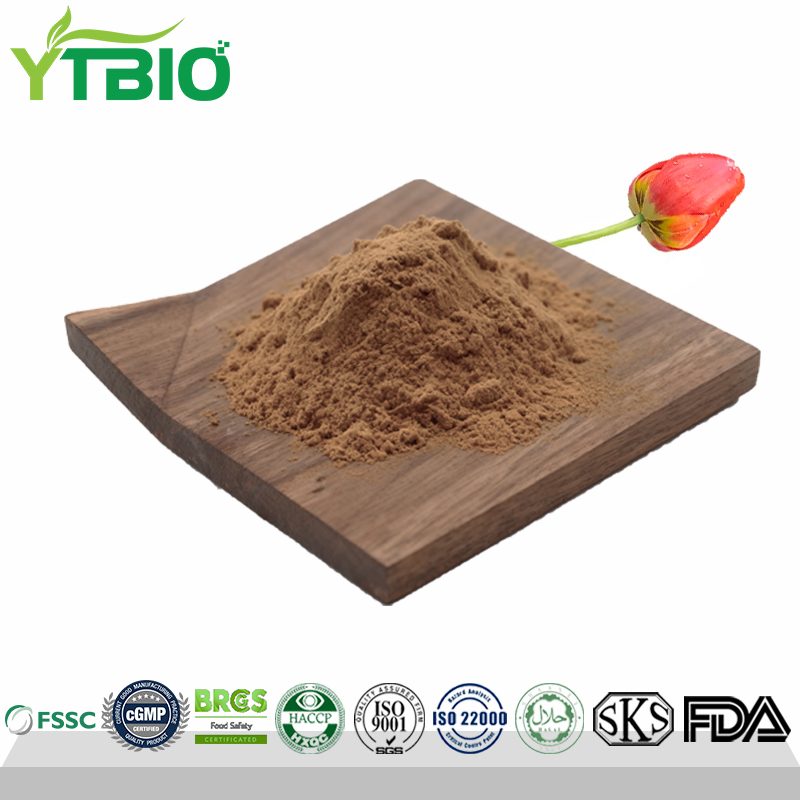 Tulip Flower Extract Powder 10:1