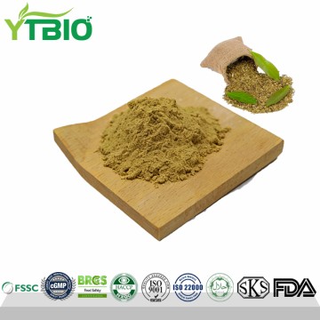 Großhandel mit wasserlöslichem, feinem Yerba-Mate-Pulver