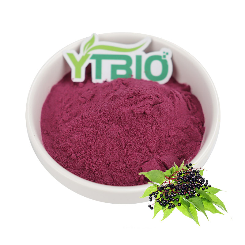 How Does Elderberry Extract Regulate The Human Immune System To Fight Viral Infections?