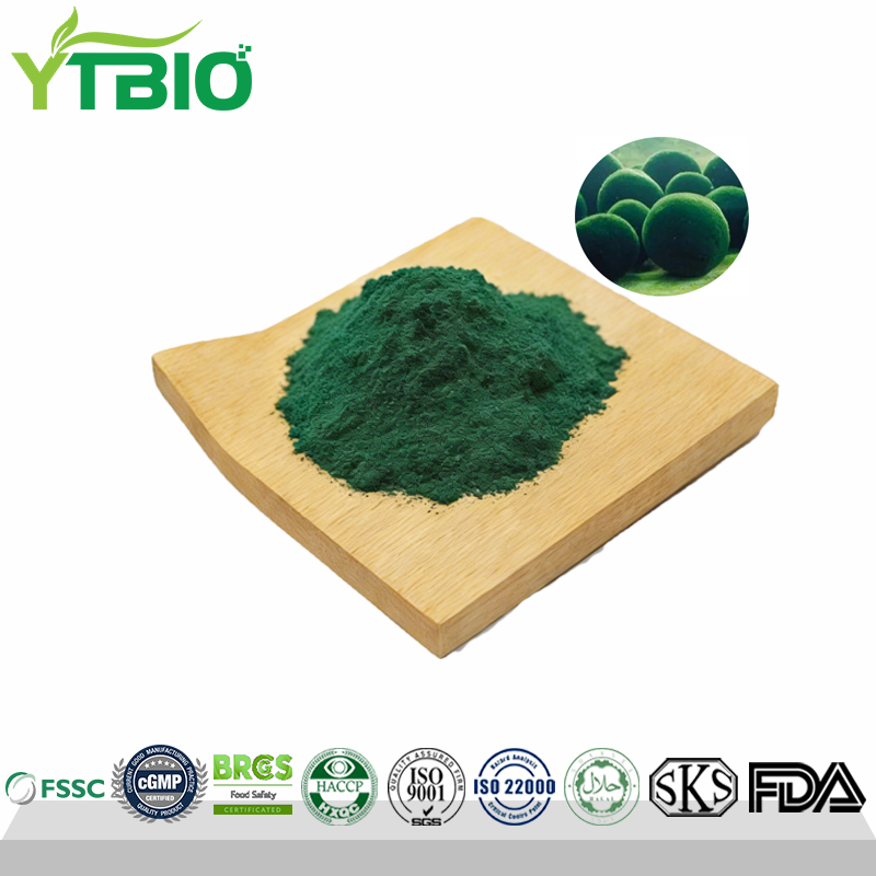 Wholesale Pure Chlorella Powder