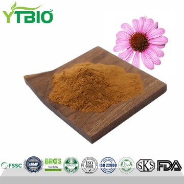 Supply Echinacea Purpurea Extract Powder 4% Polyphenols