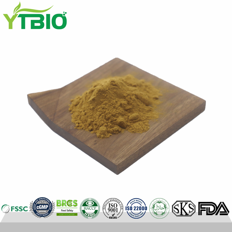 Factory Supply Hericium Erinaceus/ Lions Mane Extract Powder
