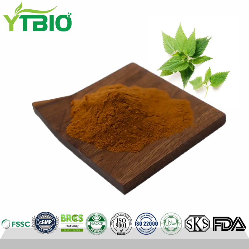 High Quality 10:1 Nettles Leaf Extract Powder