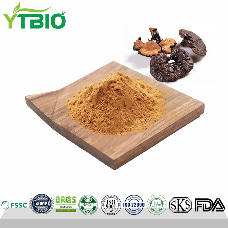 Wholesale Reishi Mushroom Extract Reishi Triterpenoid 20%