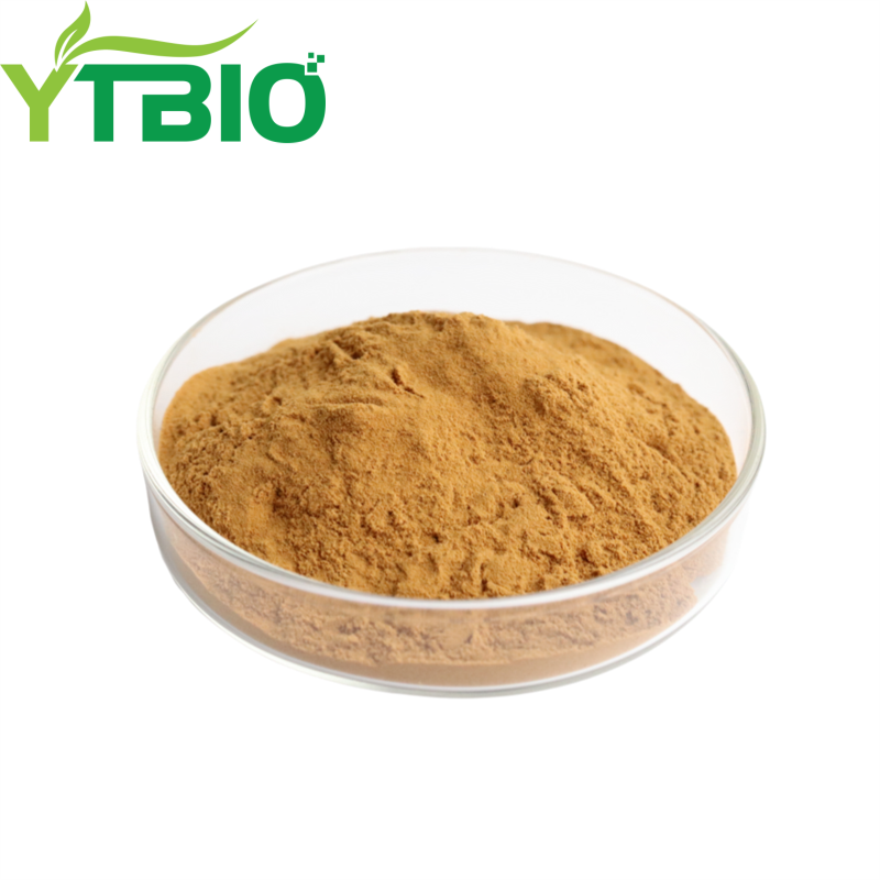 How Does Hericium Erinaceus Extract Help Repair Damaged Gastric Mucosa?