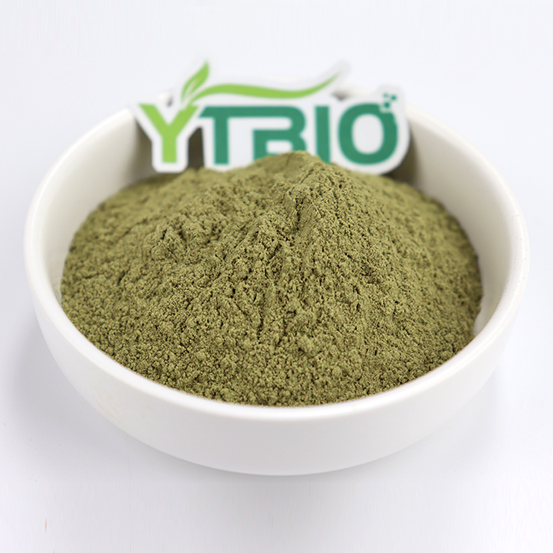 What Are The Benefits Of Moringa Leaf Powder For Women? Nutritional Value And Application Prospects Analysis