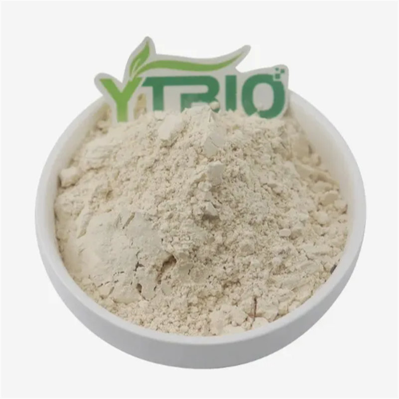 Why Is Hydrolyzed Wheat Protein Called a Natural Conditioner? Mechanism Explained