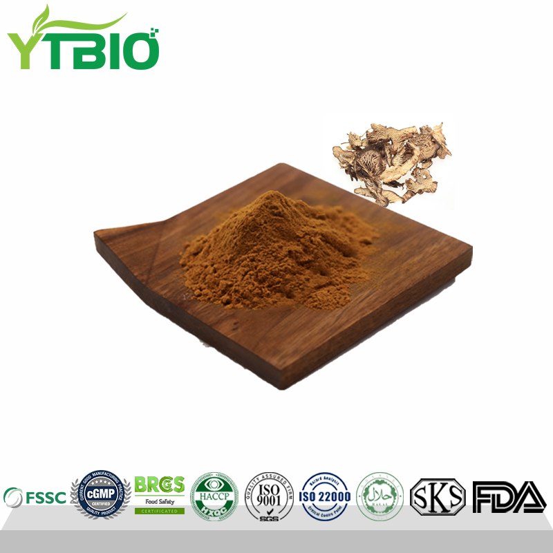 Factory Supply Black Cohosh Extract 2.5% Triterpene Glycosides