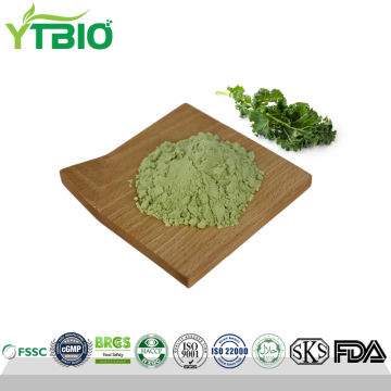 Manufacturer Supply Bulk Kale Powder Spray-dried/Freeze-dried/Air-dried