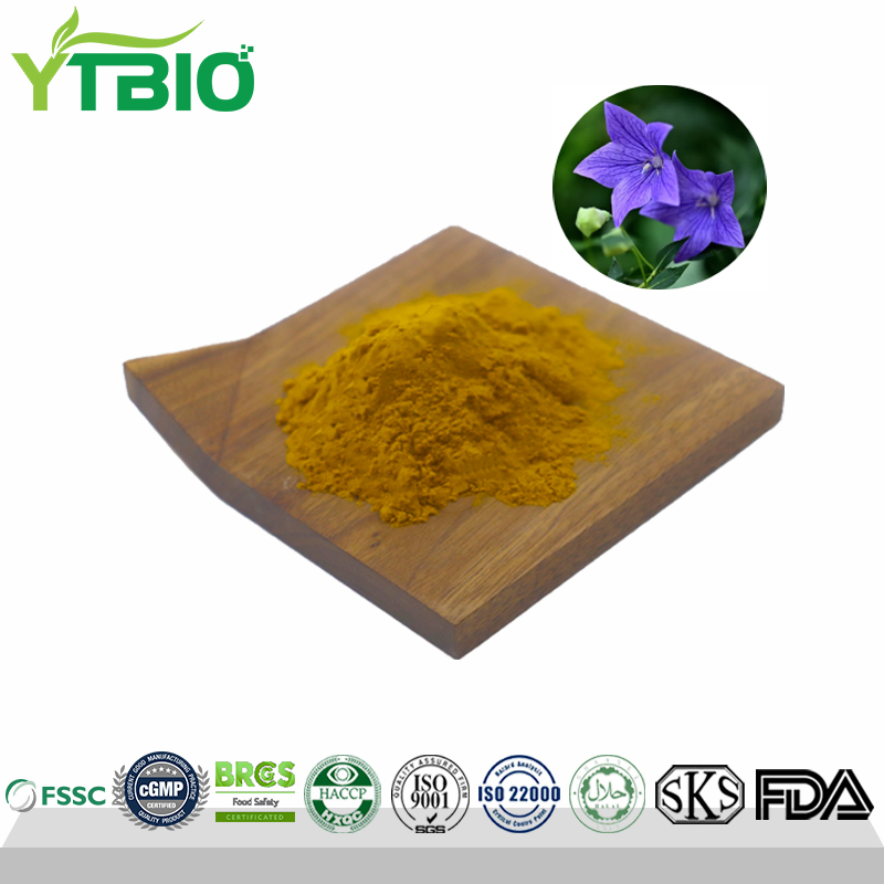 Factory Manufacture 10:1 Platycodon Extract Powder