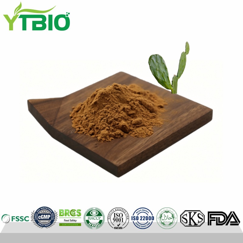 Natural Cactus Extract Powder 10:1 Bulk Supply