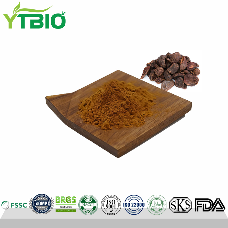 Natural Cola Nut Extract Powder 10:1 Factory