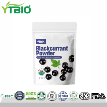 Organic Blackcurrant Powder | Professional Plant Extract Supplier